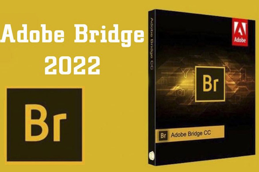 Download Adobe Bridge 2022 Full [Đã Test 100%]