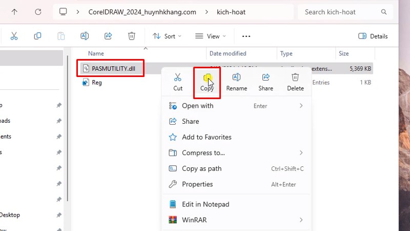 Copy file như hình
