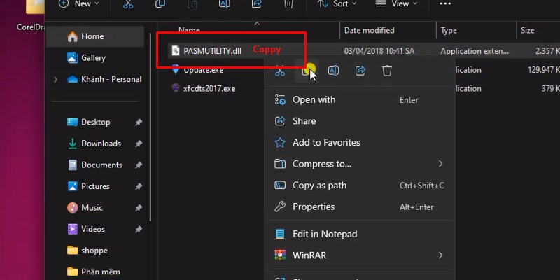 vào lại thư mục kích hoạt và coppy File PASMUTILITY.dll