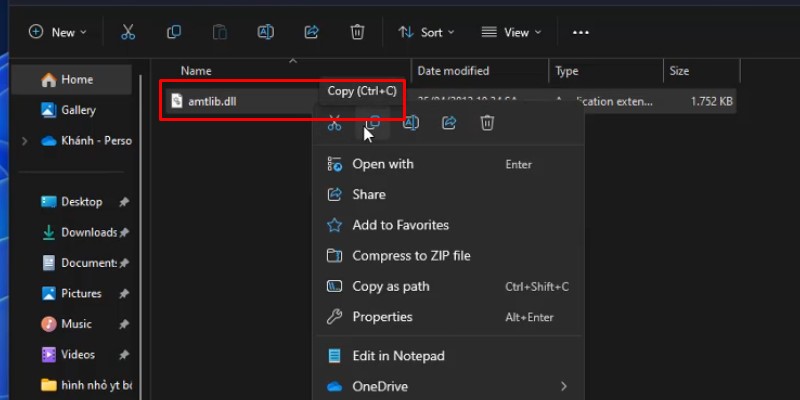 coppy file như hình nha